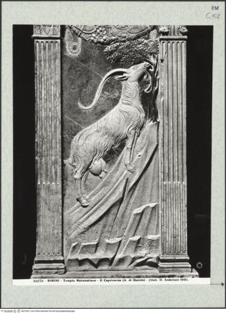 Vorderseite von bh376627_recto