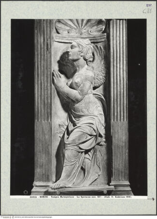 Vorderseite von bh376676_recto