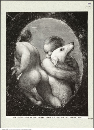 Vorderseite von bh376691_recto