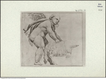 Vorderseite von bh376800_recto