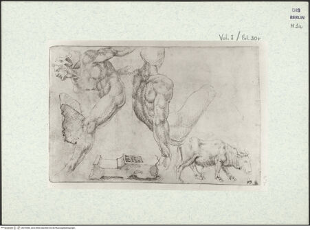 Vorderseite von bh376830_recto