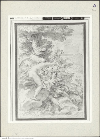 Vorderseite von bh376932_recto