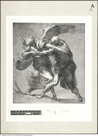 Vorderseite von bh376981_recto