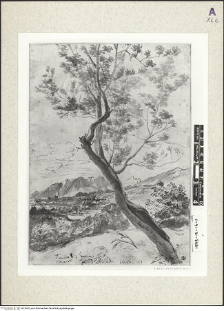 Vorderseite von bh376993_recto