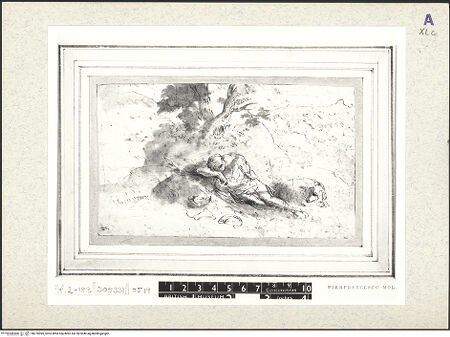 Vorderseite von bh376995_recto