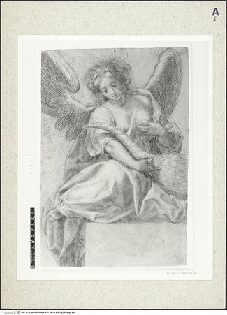 Vorderseite von bh376998_recto