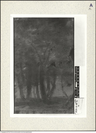 Vorderseite von bh377005_recto