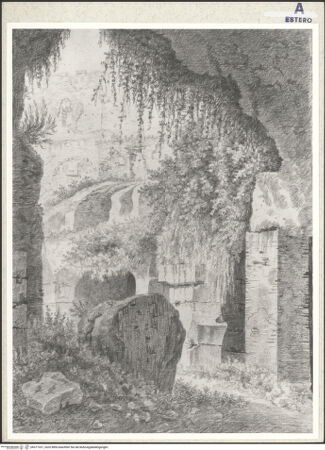 Vorderseite von bh377331_recto