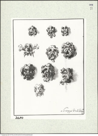 Vorderseite von bh377556_recto