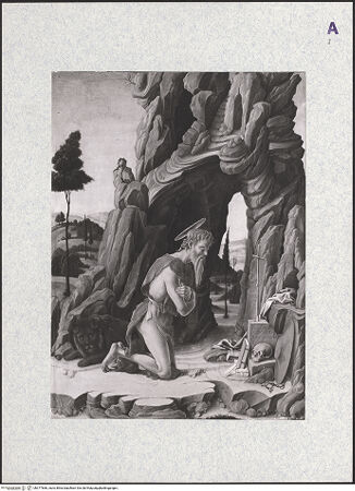 Vorderseite von bh377666_recto