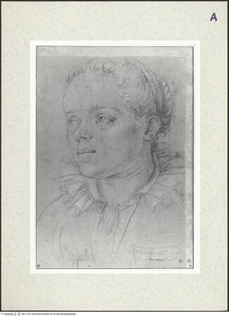 Vorderseite von bh377754_recto