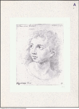 Vorderseite von bh377763_recto