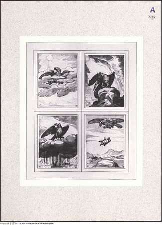 Vorderseite von bh377768_recto