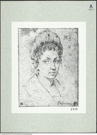 Vorderseite von bh377770_recto