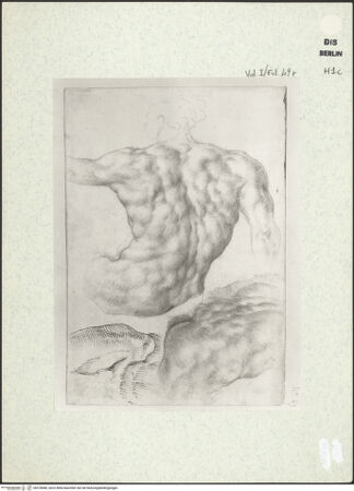 Vorderseite von bh378080_recto