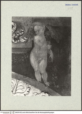 Vorderseite von ICCD (GFN) [https://www.deutsche-digitale-bibliothek.de/content/lizenzen/rv-ez/] Bekehrung Pauli und Befreiung Petri sowie Wapopen der Ponzetti - Eingangsbogen, Putto rechts des Wappens, bh378102_recto. Foto.