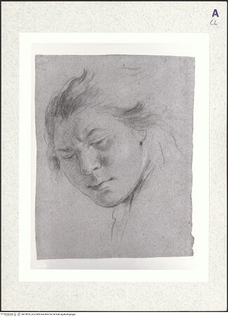 Vorderseite von bh378332_recto