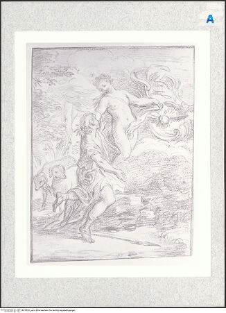 Vorderseite von Bowdoin College Museum of Art [https://www.deutsche-digitale-bibliothek.de/content/lizenzen/rv-ez/] Venus und Adonis - , bh378365_recto. Foto.