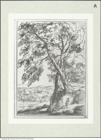 Vorderseite von bh378384_recto