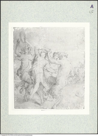 Vorderseite von bh378386_recto