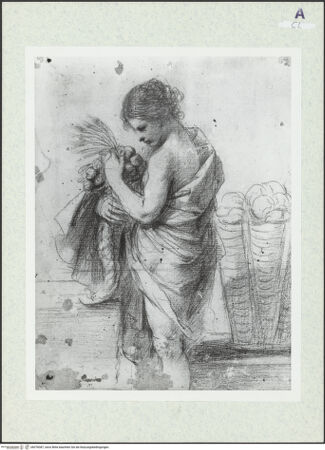 Vorderseite von bh378387_recto