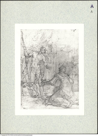 Vorderseite von bh378400_recto