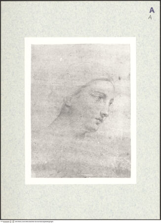 Vorderseite von bh378424_recto