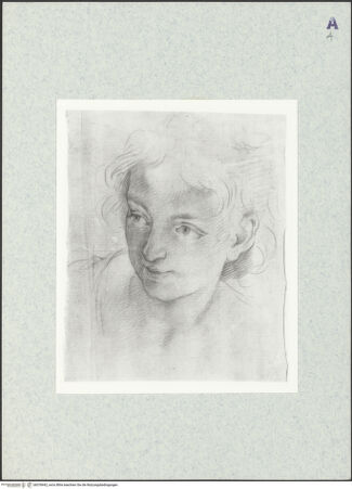 Vorderseite von bh378442_recto