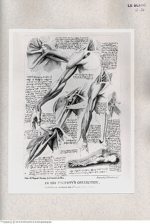 Vorderseite von bh378736