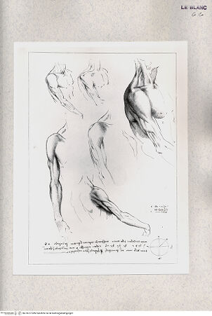 Vorderseite von Bibliotheca Hertziana [http://creativecommons.org/publicdomain/mark/1.0/] Original designs of the most celebrated masters of the Bolognese, Roman, Florentine, and Venetian schools, comprising some of the works of Leonardo da Vinci, the Carracci, Claude Lorrain, Raphael ... in His Majesty's Collection; engraved by Bartolozzi, P. W. Tomkins ... ; with biographical and historical sketches of L. da Vinci and the CaracciTaf. VI. Anatomische Studien, Muskeln des Arms - , bh378737. Foto.