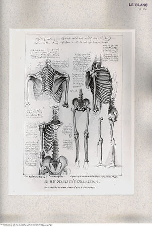 Vorderseite von bh378739