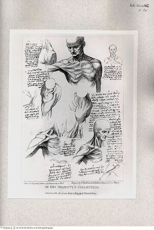 Vorderseite von Bibliotheca Hertziana [http://creativecommons.org/publicdomain/mark/1.0/] Original designs of the most celebrated masters of the Bolognese, Roman, Florentine, and Venetian schools, comprising some of the works of Leonardo da Vinci, the Carracci, Claude Lorrain, Raphael ... in His Majesty's Collection; engraved by Bartolozzi, P. W. Tomkins ... ; with biographical and historical sketches of L. da Vinci and the CaracciTaf. III. Anatomische Studien, Muskeln des Oberkörpers und der Arme - , bh378740. Foto.