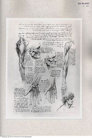 Vorderseite von bh378741