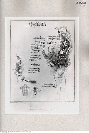 Vorderseite von Bibliotheca Hertziana [http://creativecommons.org/publicdomain/mark/1.0/] Original designs of the most celebrated masters of the Bolognese, Roman, Florentine, and Venetian schools, comprising some of the works of Leonardo da Vinci, the Carracci, Claude Lorrain, Raphael ... in His Majesty's Collection; engraved by Bartolozzi, P. W. Tomkins ... ; with biographical and historical sketches of L. da Vinci and the CaracciTaf. I. Anatomische Studien - , bh378744. Foto.