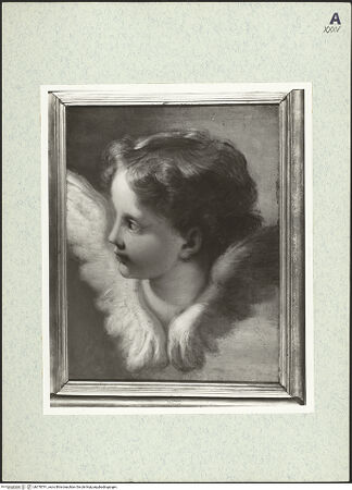 Vorderseite von bh378791_recto