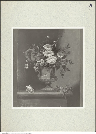 Vorderseite von bh378793_recto