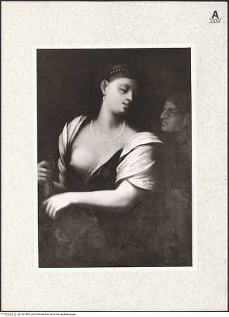 Vorderseite von bh378803_recto