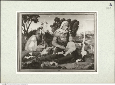 Vorderseite von bh378806_recto