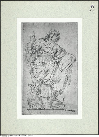 Vorderseite von bh378861_recto