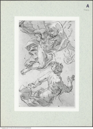 Vorderseite von bh378868_recto