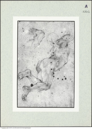 Vorderseite von bh378871_recto