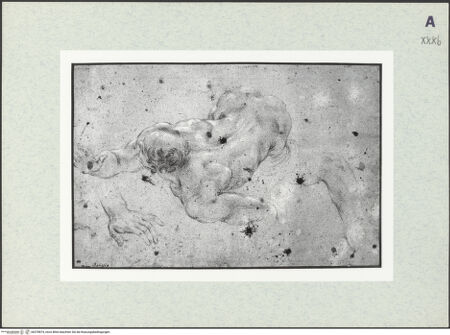 Vorderseite von bh378874_recto