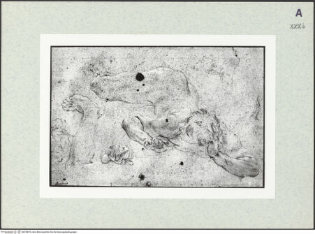 Vorderseite von bh378875_recto