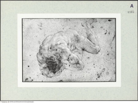 Vorderseite von bh378876_recto