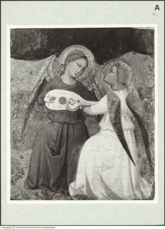 Vorderseite von bh378895_recto