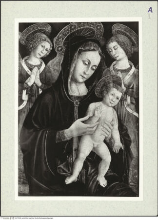 Vorderseite von bh379006_recto