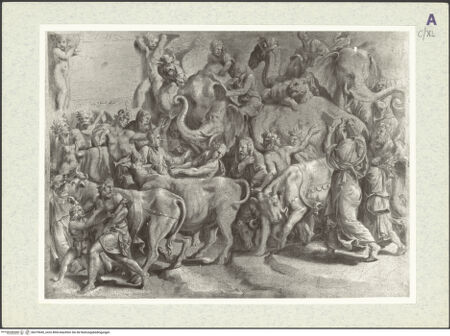 Vorderseite von bh379045_recto