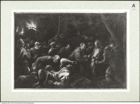 Vorderseite von bh379076_recto