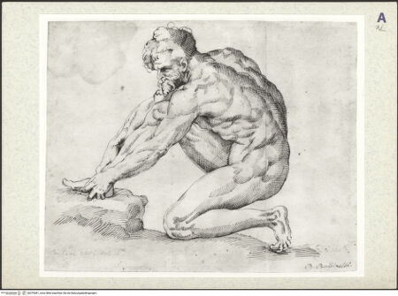 Vorderseite von bh379081_recto