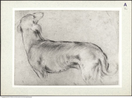 Vorderseite von bh379086_recto